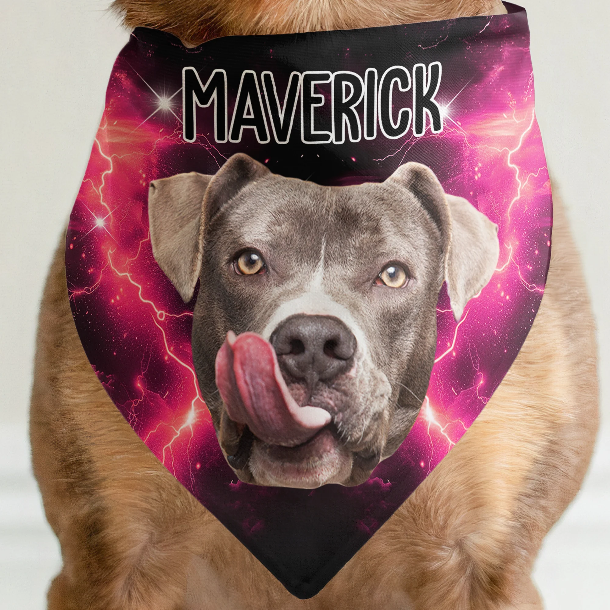 Bootleg Custom Photo Pet - Personalized Photo Dog Bandana Collar - Image 2