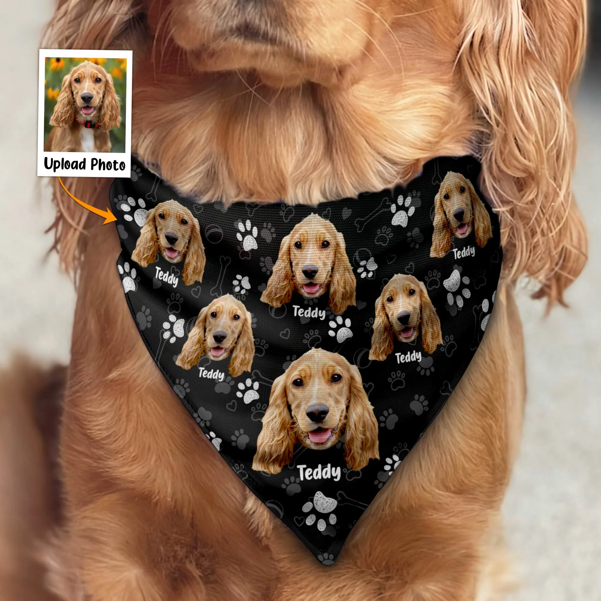 Custom Dog Face And Dog Name - Personalized Photo Bandana Collar - Image 4
