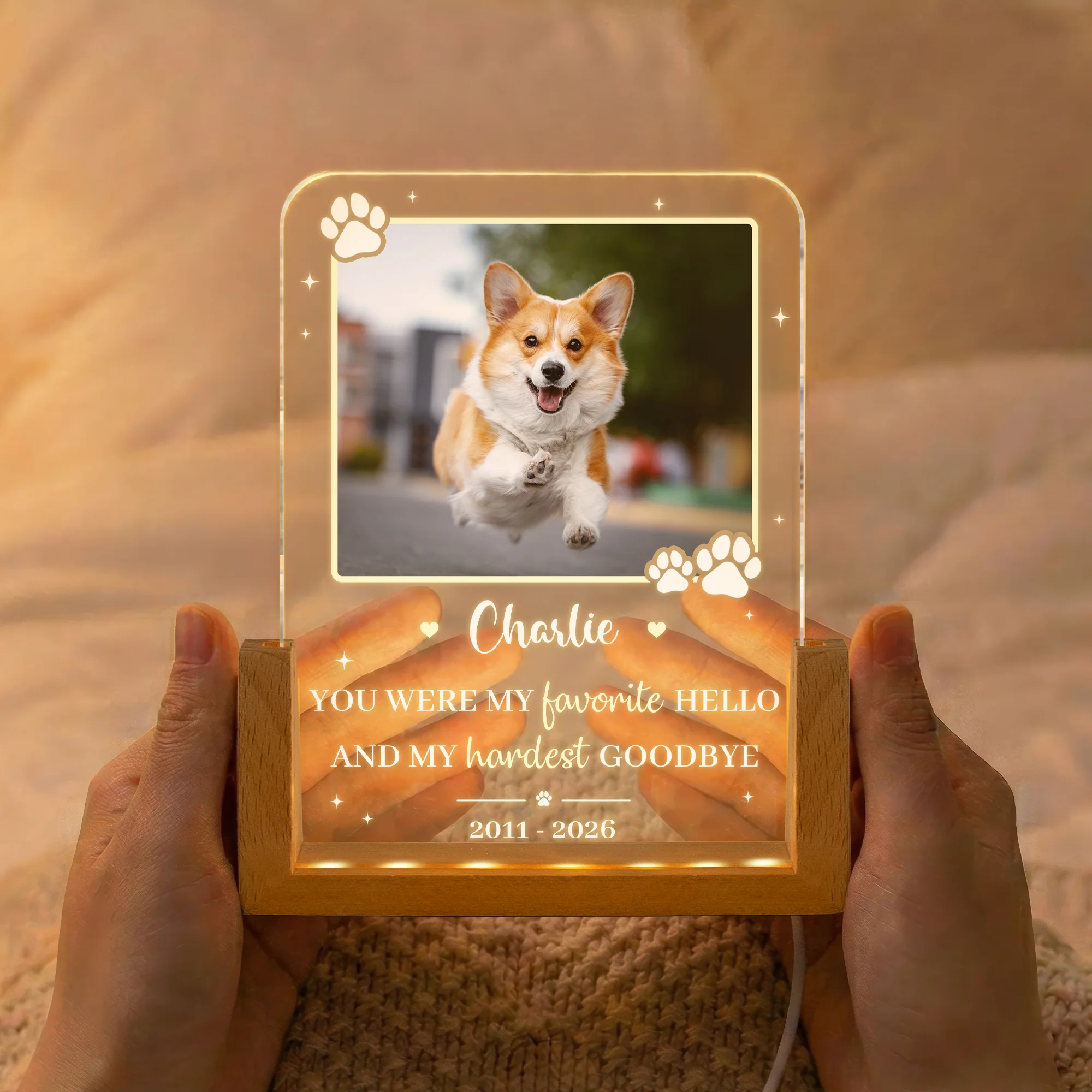 Custom Pet Photo My Favorite Hello & Hardest Goodbye Pet Loss Gift - Personalized Night Light - Image 2