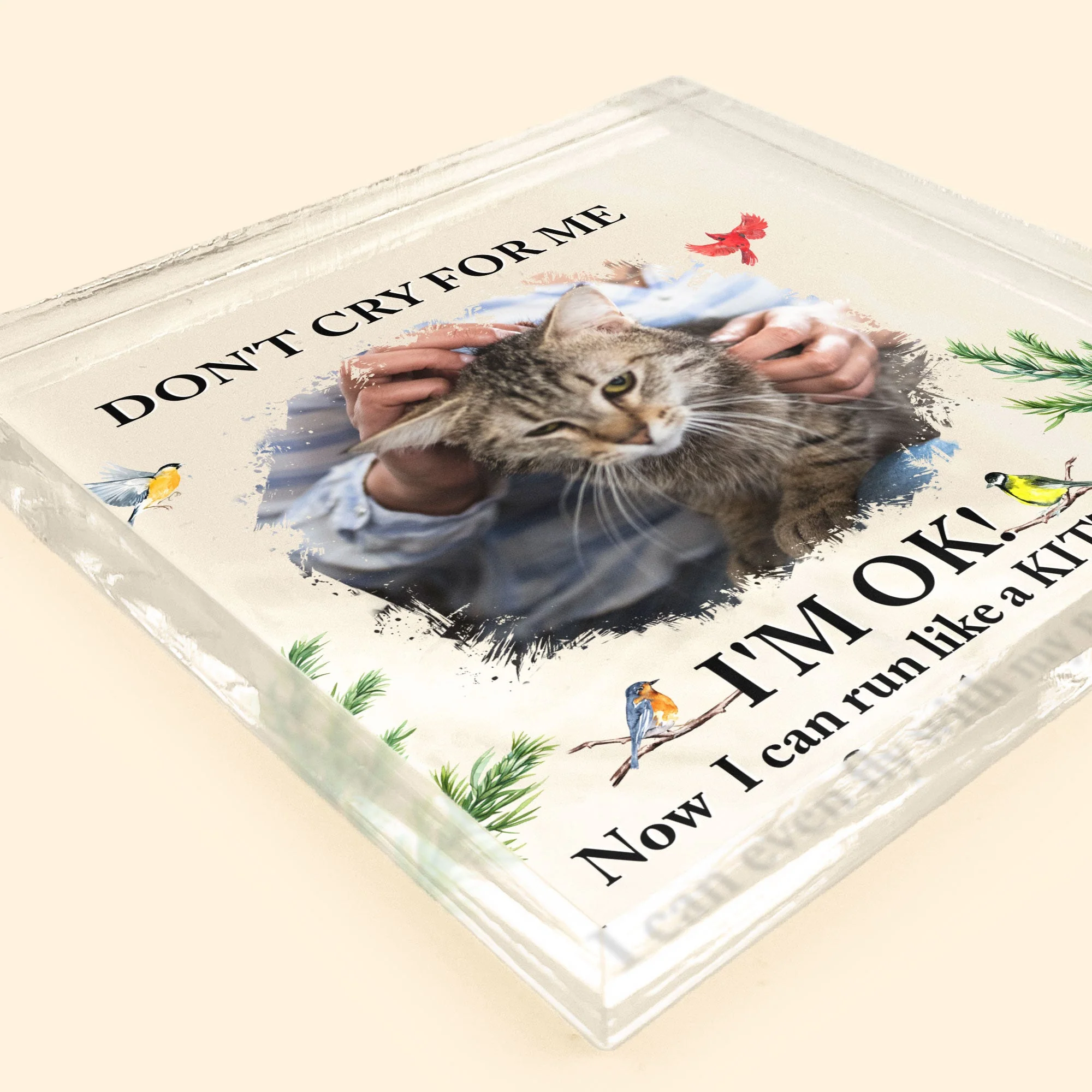Don't Cry For Me Kitten Version - Personalized Acrylic Photo Plaque - Image 4