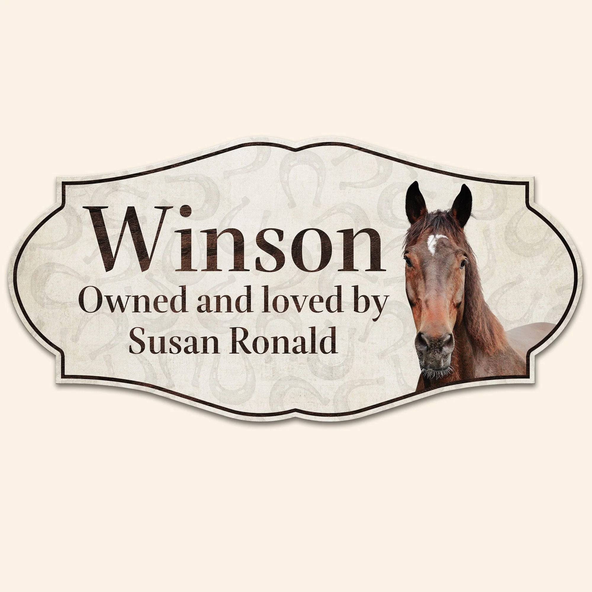 Horse Stall Name - Personalized Metal Photo Sign - Image 2