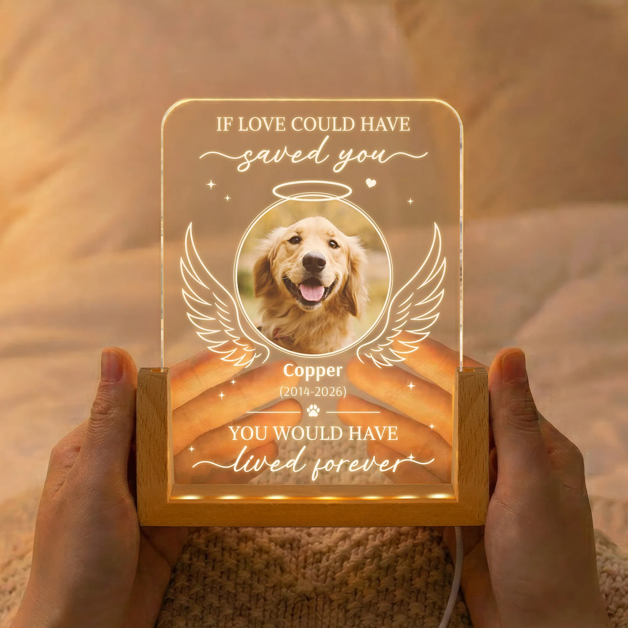 If Love Could Have Saved You Pet Memorial Sympathy Gift - Personalized Night Light - Image 2