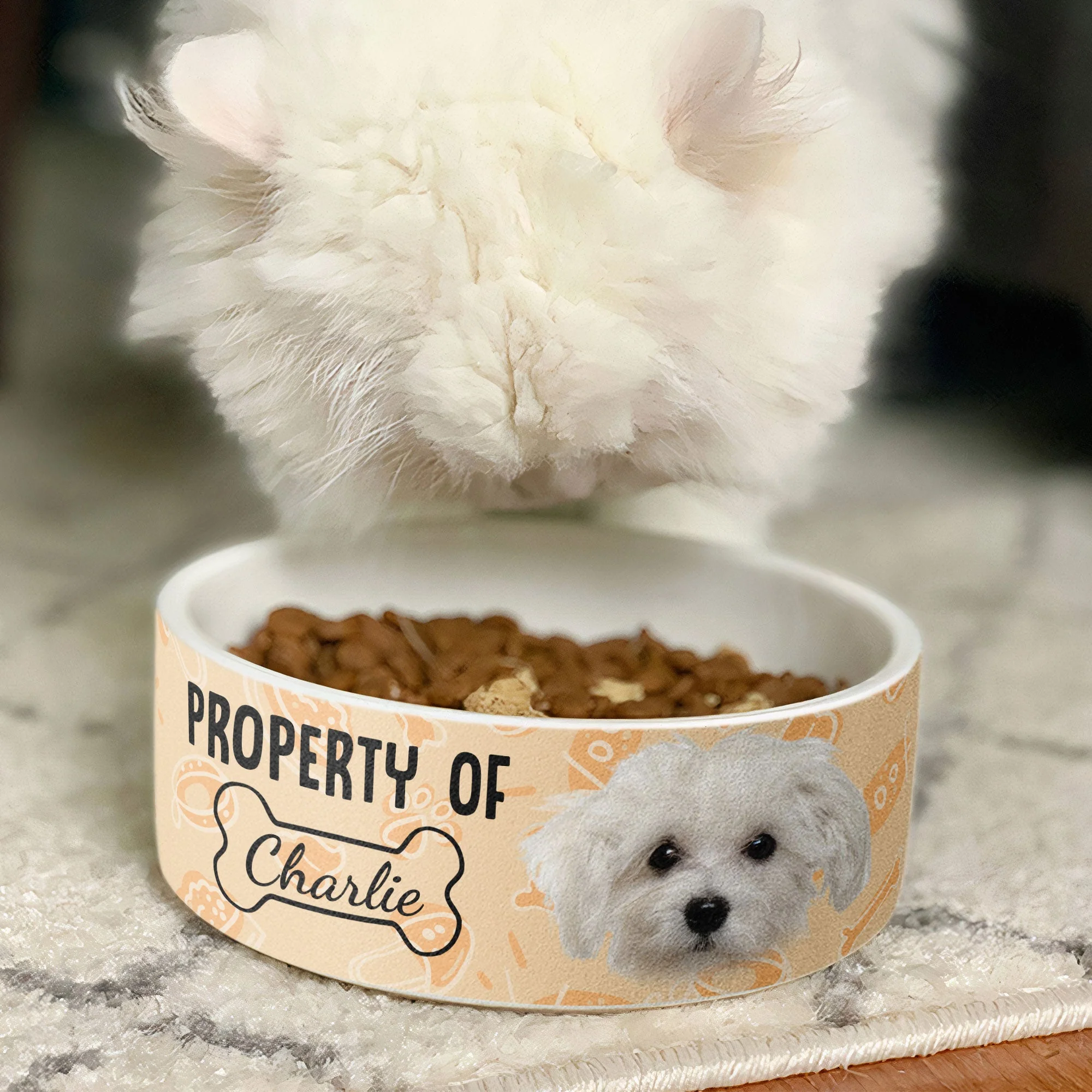 Property Of My Dog/Cat - Personalized Photo Pet Bowl - Image 6