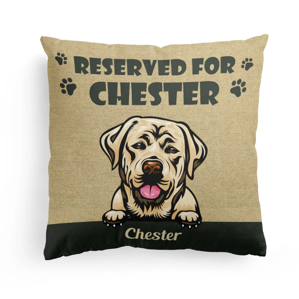 Reserved For My Cats And Dogs - Personalized Pillow (Insert Included) - Birthday Gift For Dog And Cat Parents - Image 3