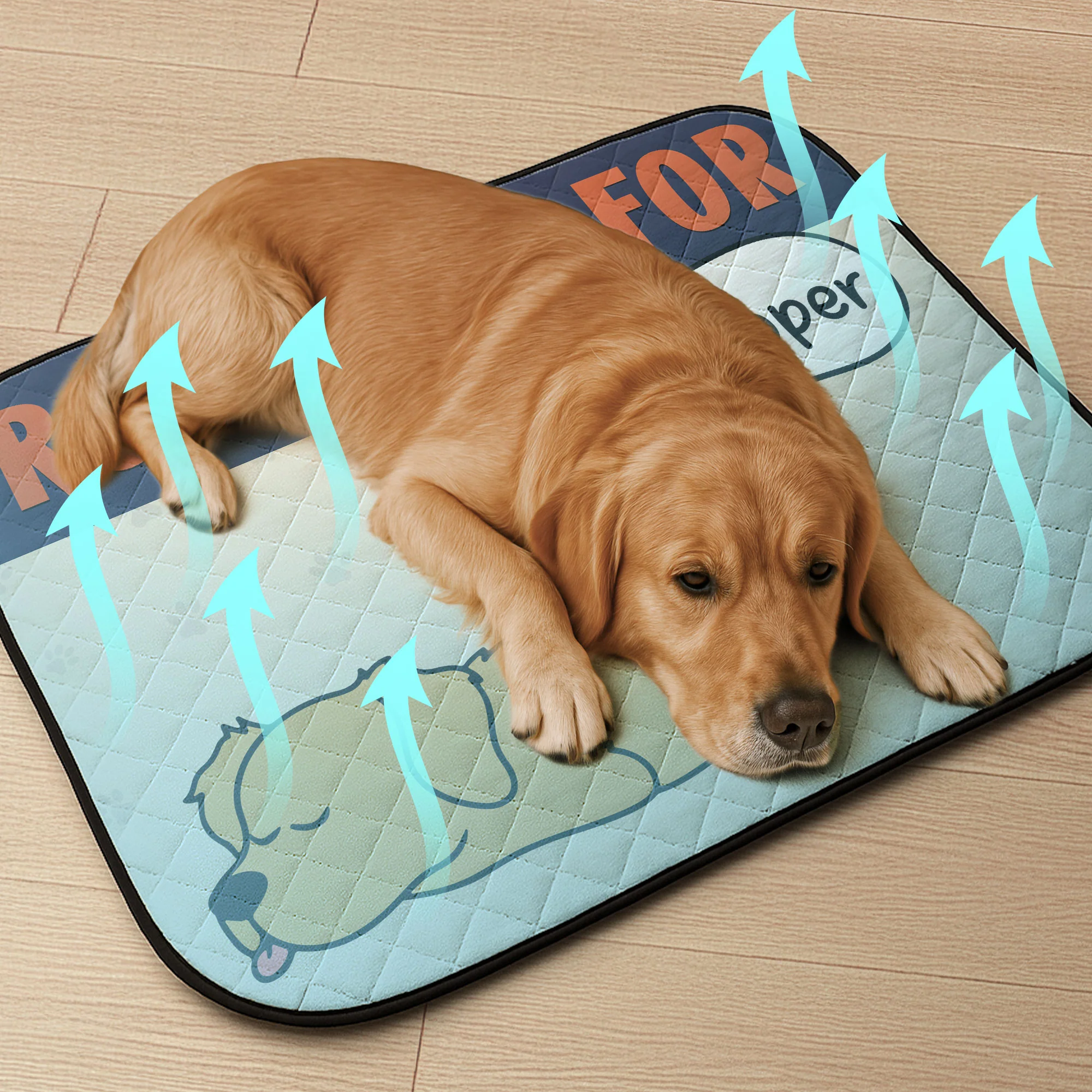 Reserved For ... - Personalized Dog Cooling Mat - Image 3