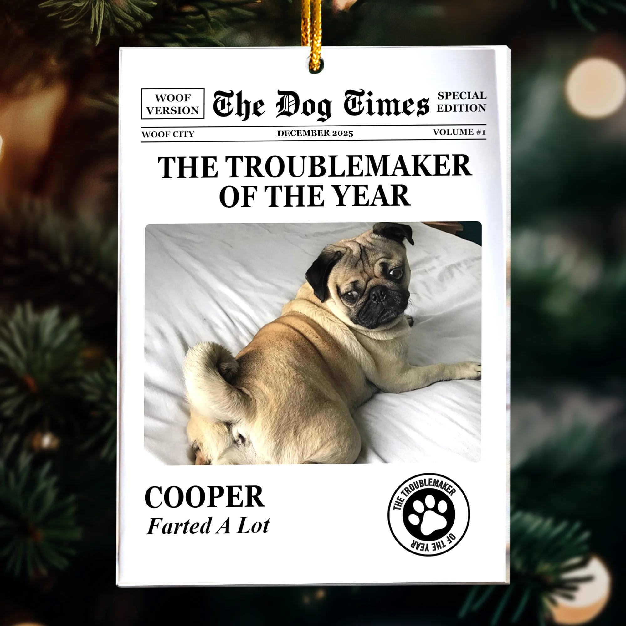 The Dog Times, The Meow Times - Troublemaker Of The Year - Personalized Acrylic Photo Ornament - Image 6