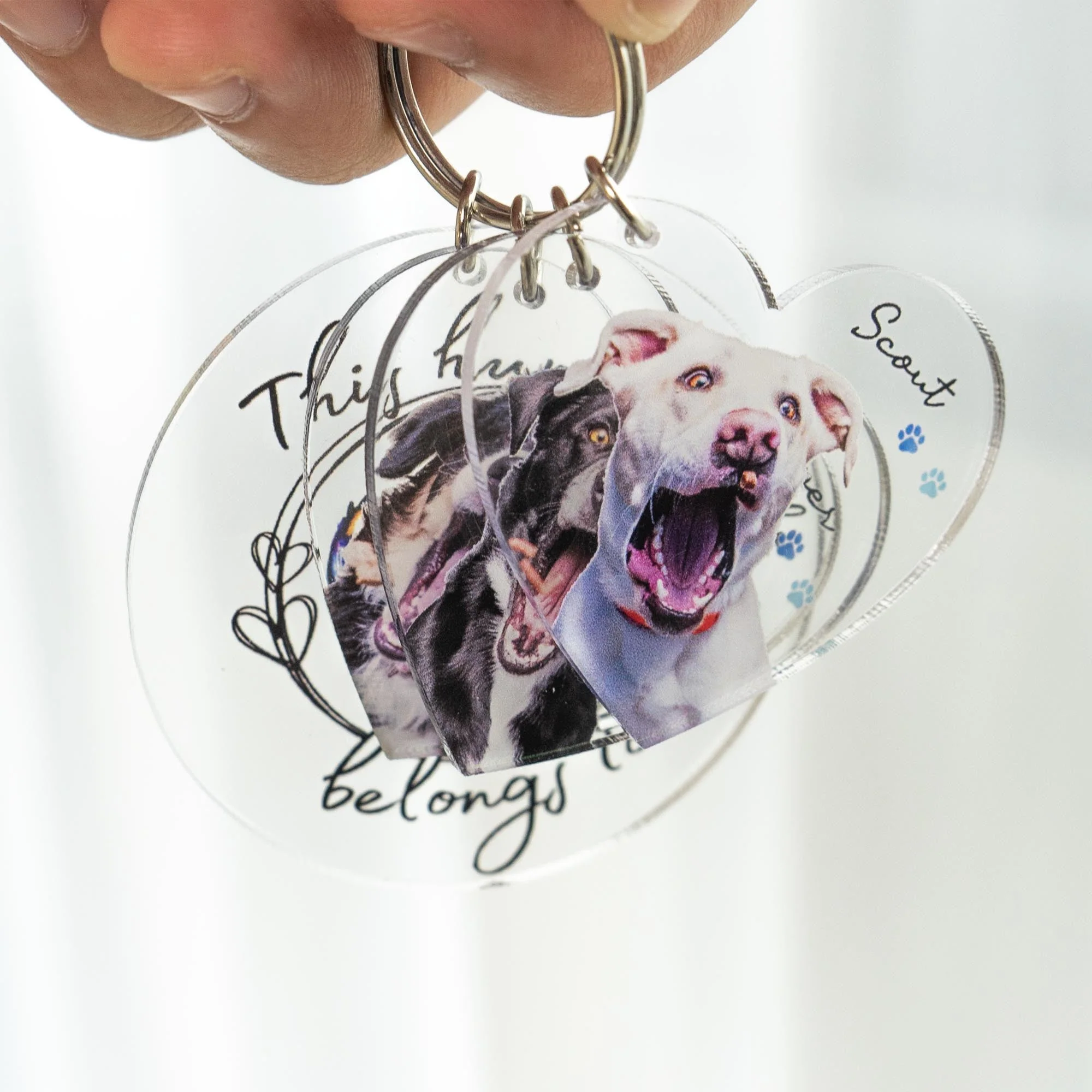 This Human Belongs To - Personalized Acrylic Photo Keychain - Image 5