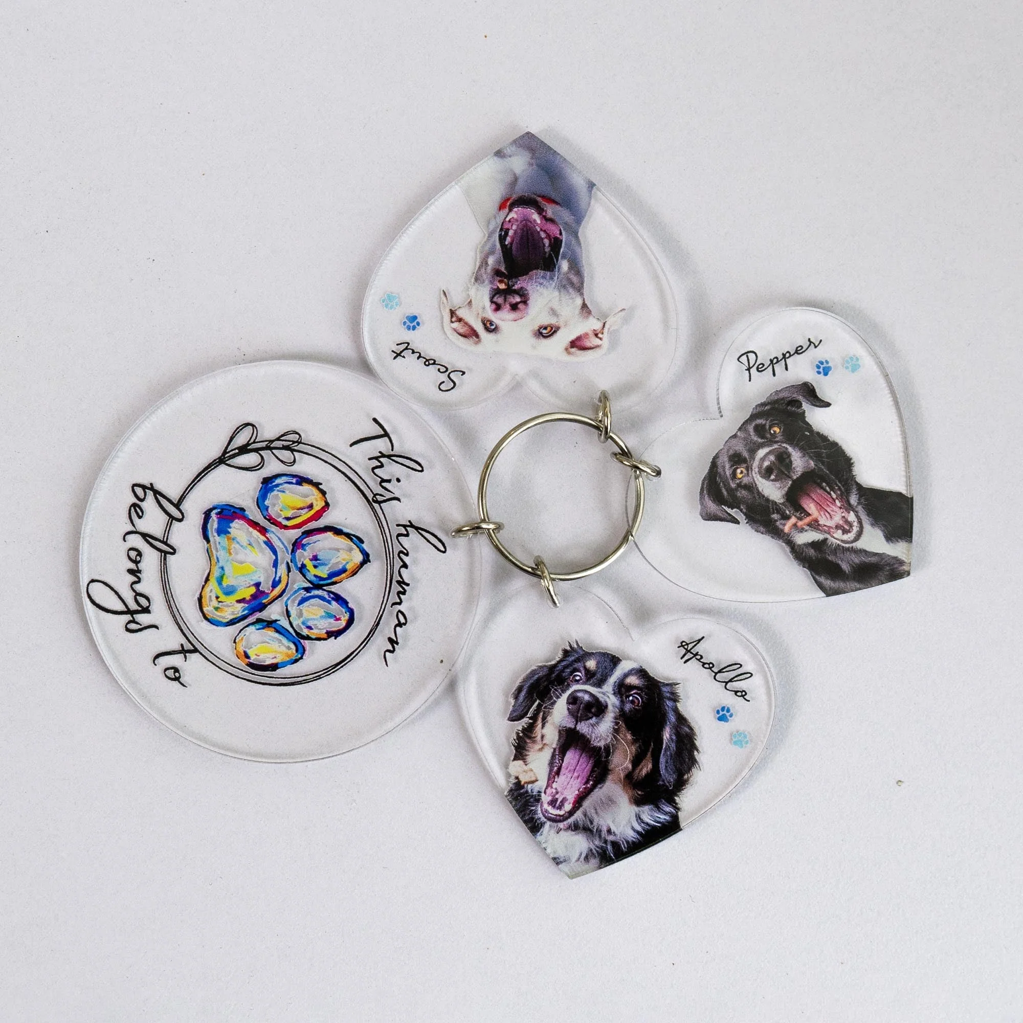 This Human Belongs To - Personalized Acrylic Photo Keychain - Image 6