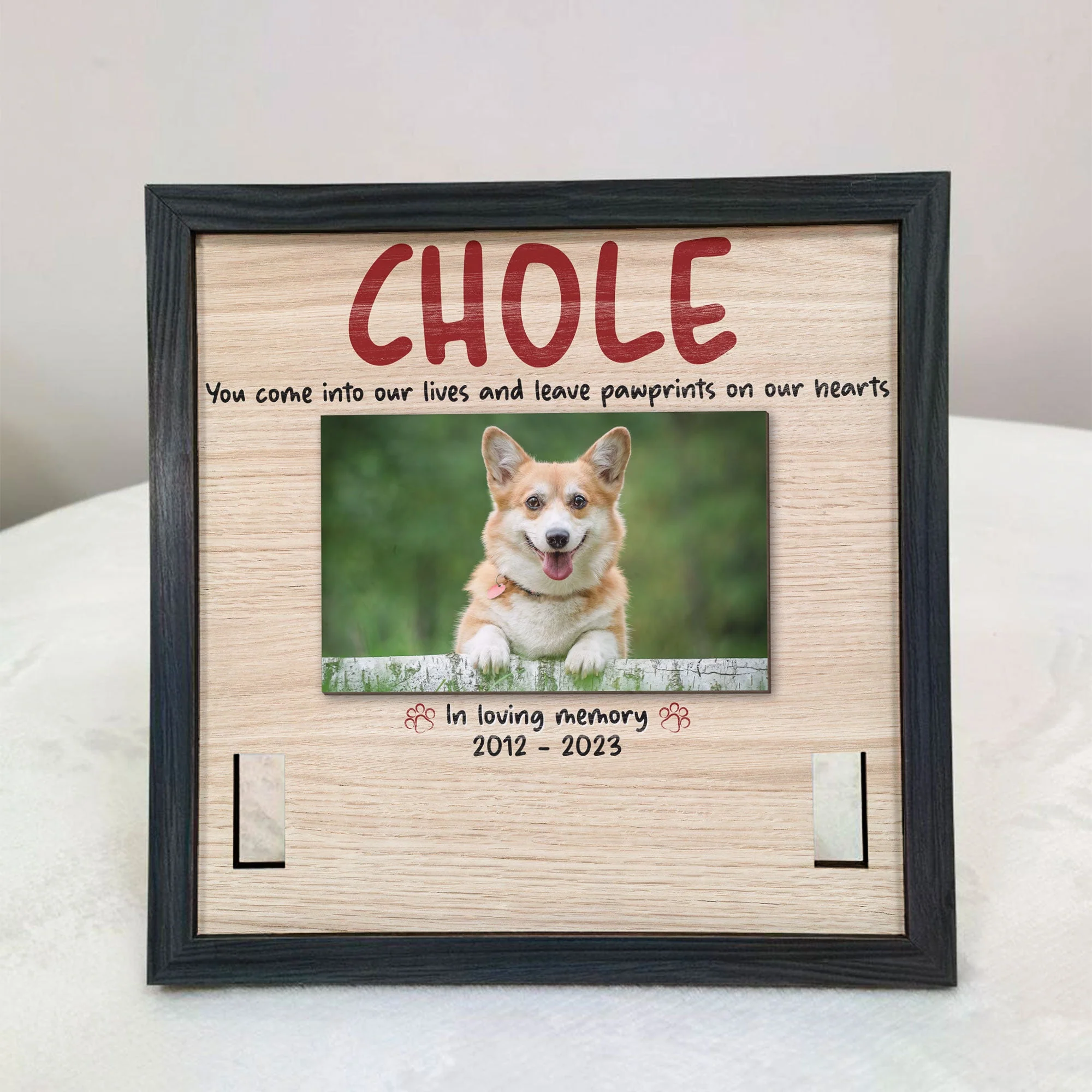 You Come Into Our Lives And Leave Pawprints - Personalized Photo Pet Loss Frame - Image 2