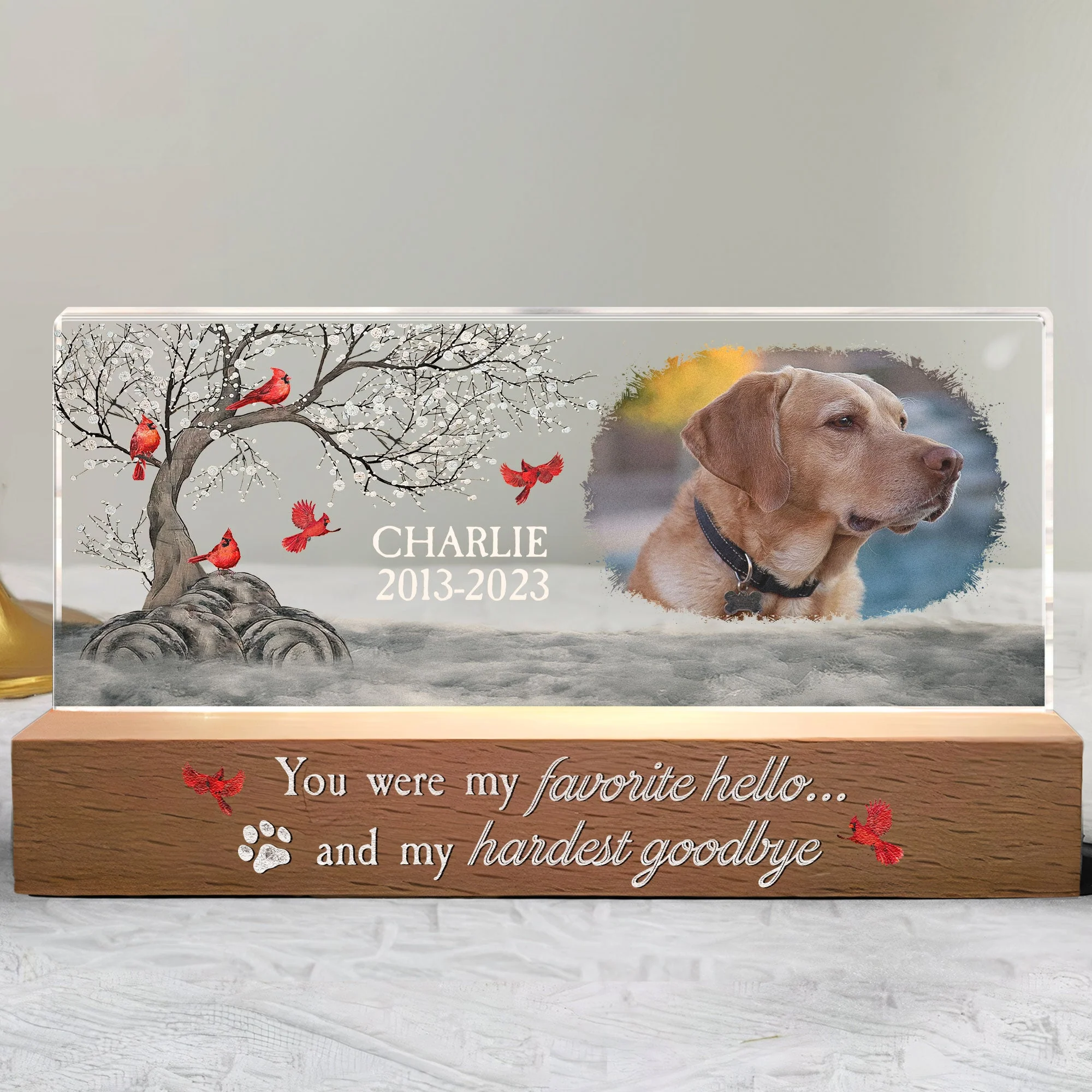 You Were My Favorite Hello And My Hardest Goodbye - Personalized Photo LED Night Light - Image 5